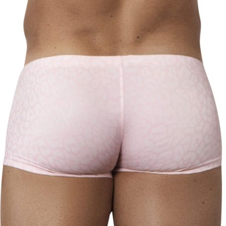  Boxer Court Shine Rose