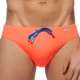 Orange Fluo