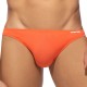 Corail
