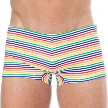  Rainbow Stripes Swim Trunks - Multicolor
