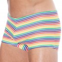  Rainbow Stripes Swim Trunks - Multicolor