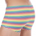  Rainbow Stripes Swim Trunks - Multicolor