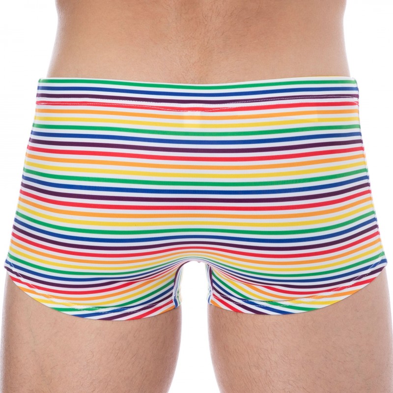  Rainbow Stripes Swim Trunks - Multicolor