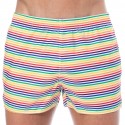  Short de Bain Rainbow Stripes Multicolore