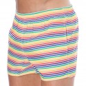  Short de Bain Rainbow Stripes Multicolore