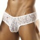 Dentelle Blanche