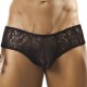 Dentelle Noire
