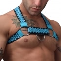 Hex Harness - Aqua Blue
