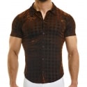 Modus Vivendi Chemisette Pied de Poule Bronze