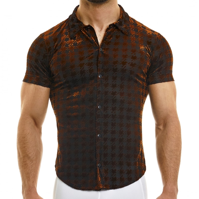 Modus Vivendi Chemisette Pied de Poule Bronze