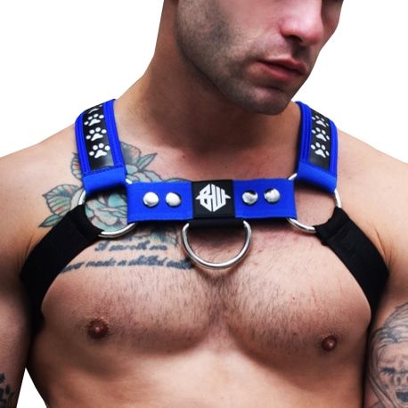  Harnais Bulldog Poundtown avec LED intégrées Noir - Bleu