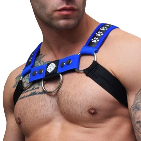  Harnais Bulldog Poundtown avec LED intégrées Noir - Bleu