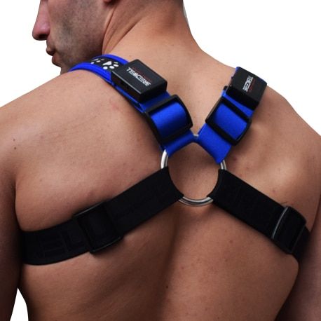  Poundtown Bulldog Harness with integrated LED - Black - Blue