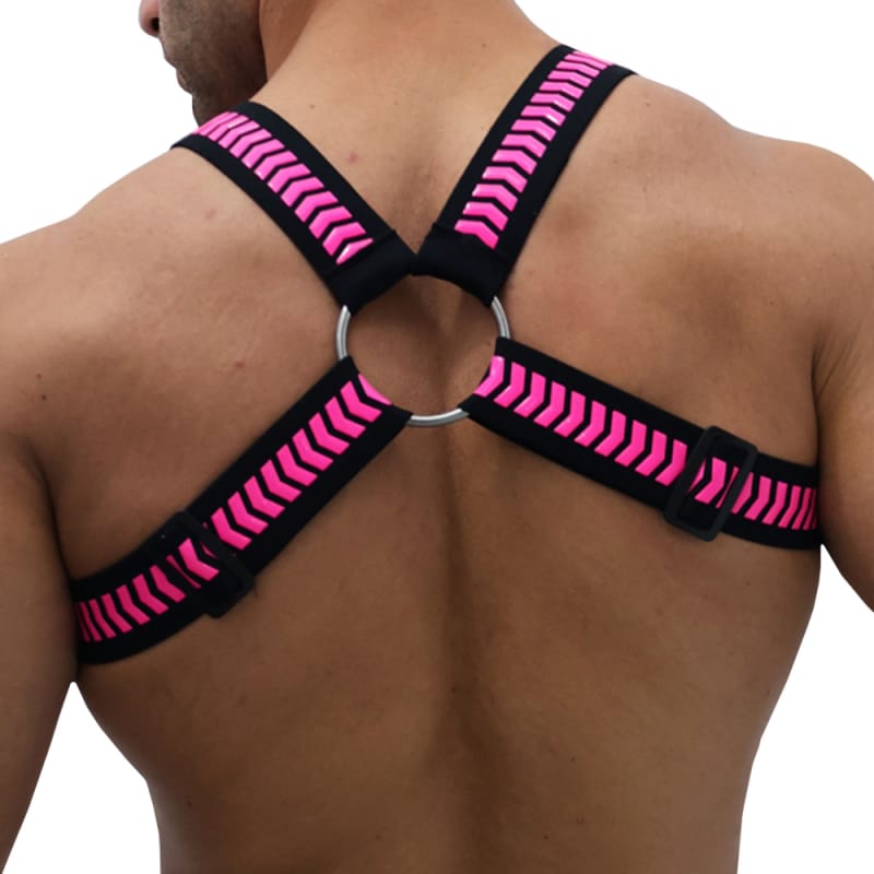  Harnais Circuit Daycrawler Noir - Rose Fluo