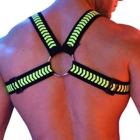  Daycrawler Circuit Harness - Black - Neon Yellow