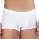  Boxer Court Sainted Blanc