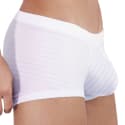  Boxer Court Sainted Blanc