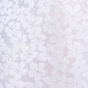 ES Collection Daisy Flower Briefs - White