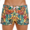  Tropical Swim Shorts