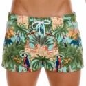  Casablanca Swim Shorts