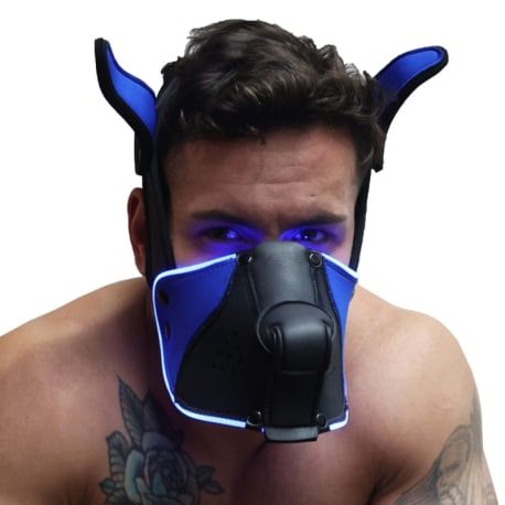  Poundtown Pup Mask 2.0 - Black - Blue