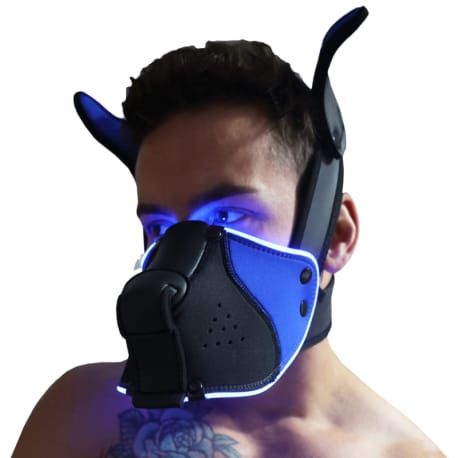  Masque de Chiot Poundtown 2.0 - Noir - Bleu