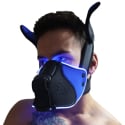  Masque de Chiot Poundtown 2.0 - Noir - Bleu