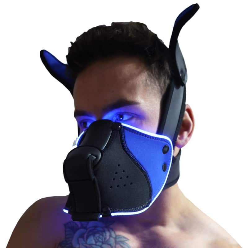  Masque de Chiot Poundtown 2.0 - Noir - Bleu