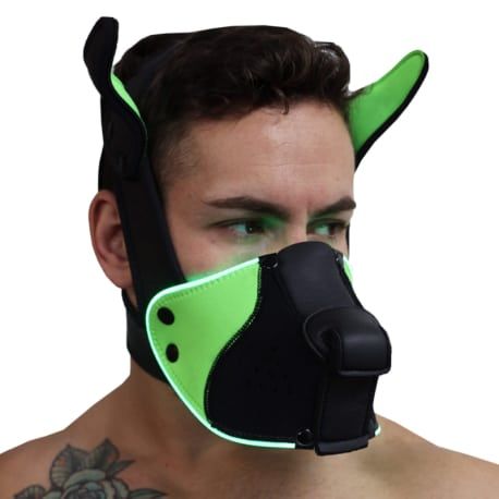  Poundtown Pup Mask 2.0 - Black - Neon Green