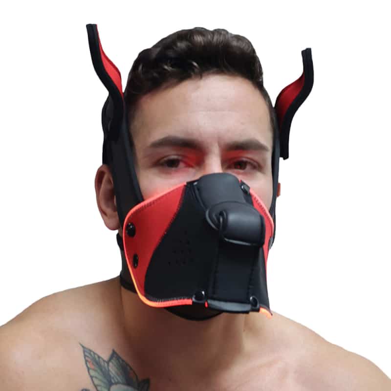  Poundtown Pup Mask 2.0 - Black - Red