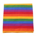  Rainbow Bandana