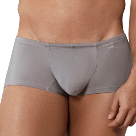  Boxer Court Destellos Argent