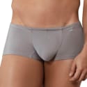  Boxer Court Destellos Argent