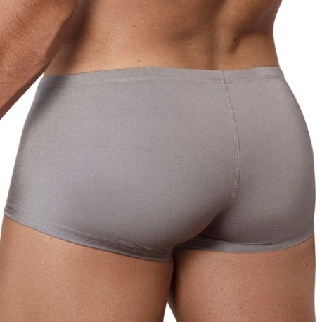  Boxer Court Destellos Argent