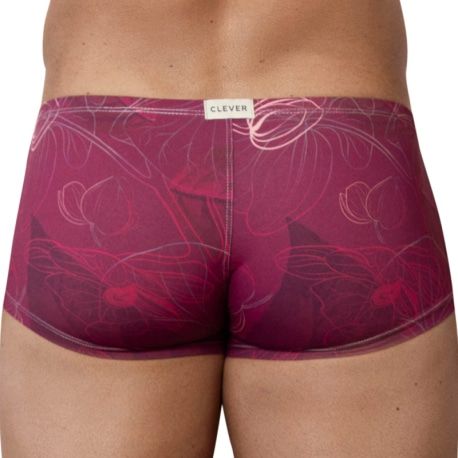  Shorty Latin Ramo Bordeaux