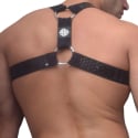  Hex Harness - Black